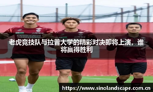xk体育官网